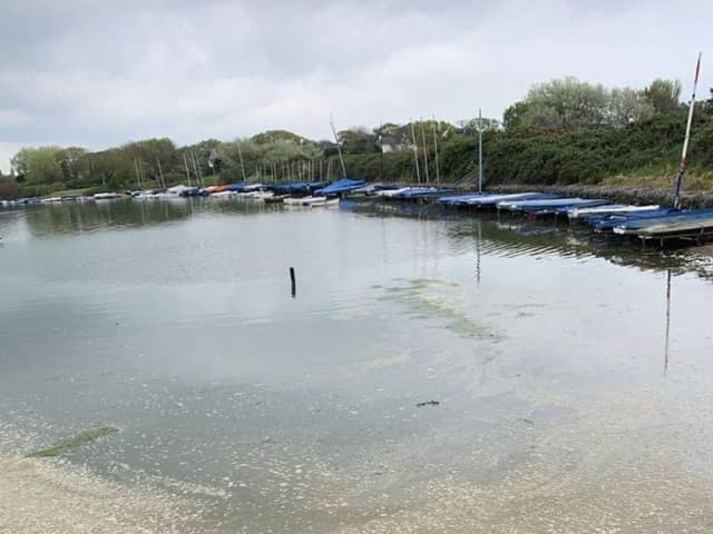 Sewage in Chichester Harbour at West Wittering.