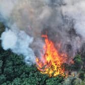 Fire crews worked ‘throughout the night’ to bring a wildfire under control at a beauty spot in Sussex.