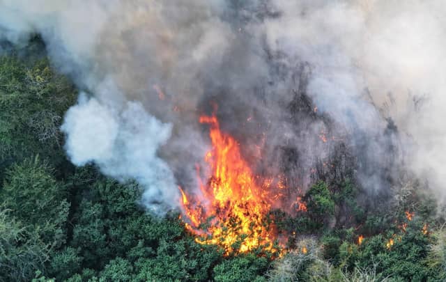 Fire crews worked ‘throughout the night’ to bring a wildfire under control at a beauty spot in Sussex.