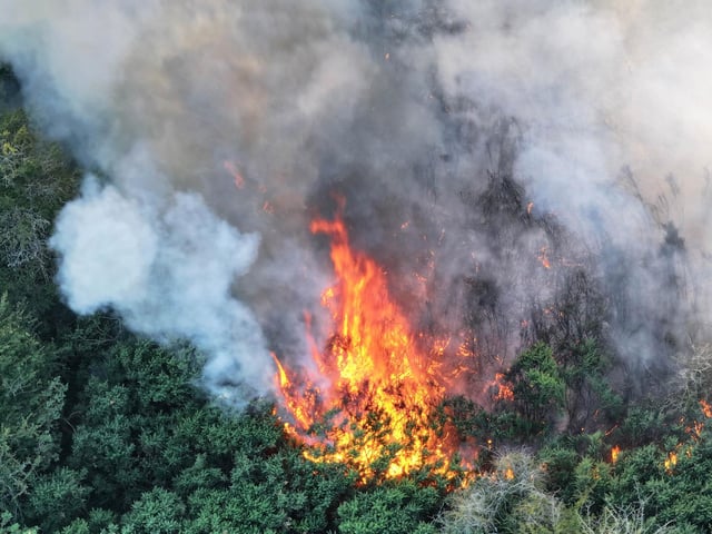 Fire crews worked ‘throughout the night’ to bring a wildfire under control at a beauty spot in Sussex.