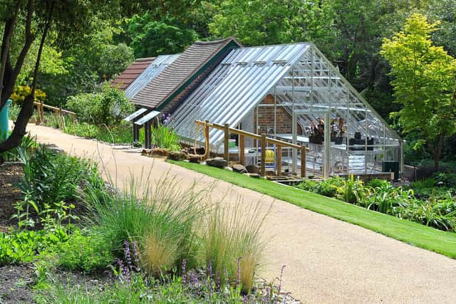 The glasshouses at Highdown Gardens are used for a plant propagation project where plants raised from cuttings and seeds are shared with other gardens. Picture: S Robards SR2105261