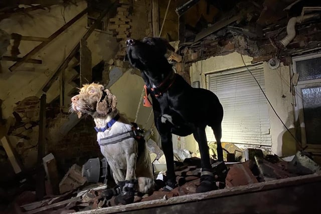 Firefighters used specially trained dogs to ensure that no one was trapped in the damage on Tuesday evening.