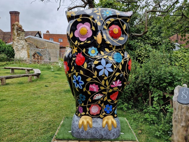 Colourful owls have flown into Arundel as part of the Wild in Art event The Big Hoot trail, raising money for Chestnut Tree House.