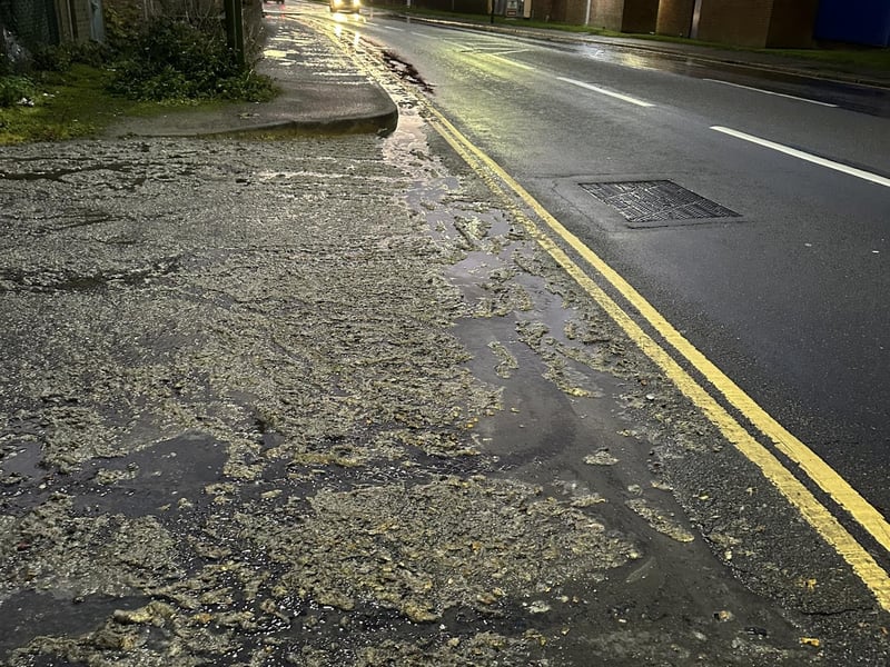 Southern Water has apologised to residents affected by a sewage leak in Southwick – with video footage showing 'raw excrement' covering local roads.