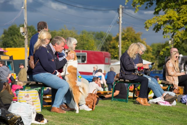 The South of England Agricultural Society’s Autumn Show & International Horse Trials took place at the South of England Showground in Ardingly on September 24-25, 2022