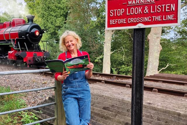 Alison Reddihough, 56, who lives near East Grinstead, is the author of The Sleepytown Express