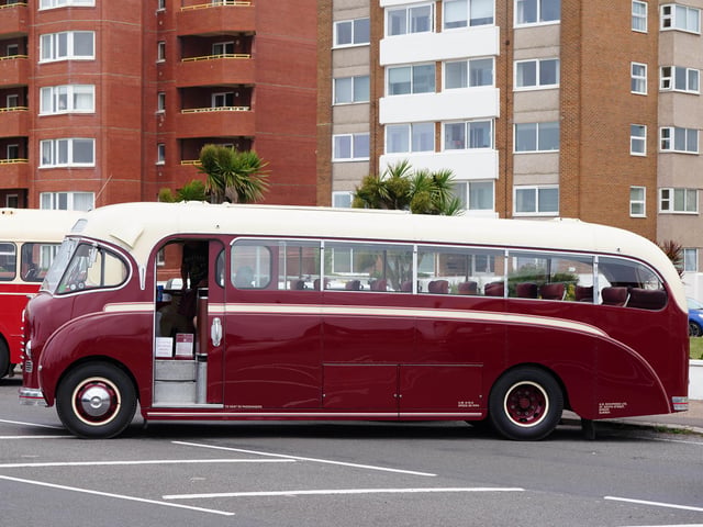 Worthing Bus Rally 2023 featured some unique vehicles on display and visitors were able to enjoy free bus rides on vintage buses