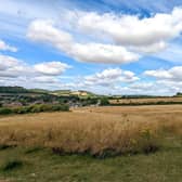 Cissbury Fields. Photo: Worthing Borough Council
