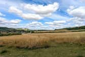 Cissbury Fields. Photo: Worthing Borough Council