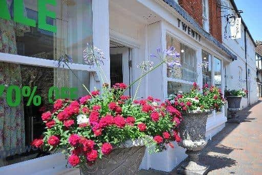 In Pictures: Petworth In Bloom's national Silver Gilt award winning displays