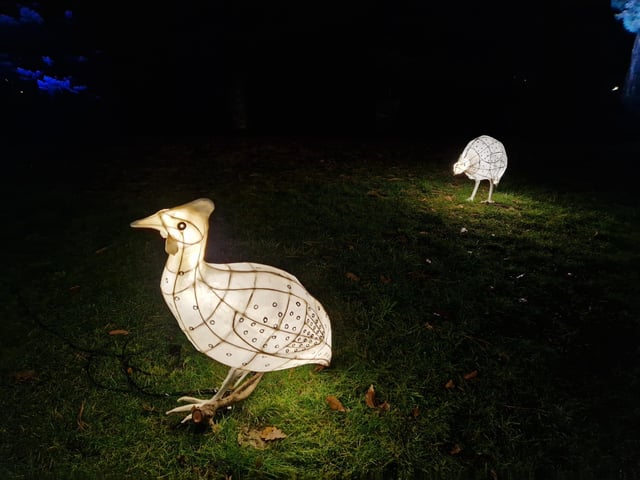 Leonardslee Lights 2024 transports guests into an enchanting world as the gardens come alive with stunning illuminations, captivating large-scale installations, mesmerising fountains and more