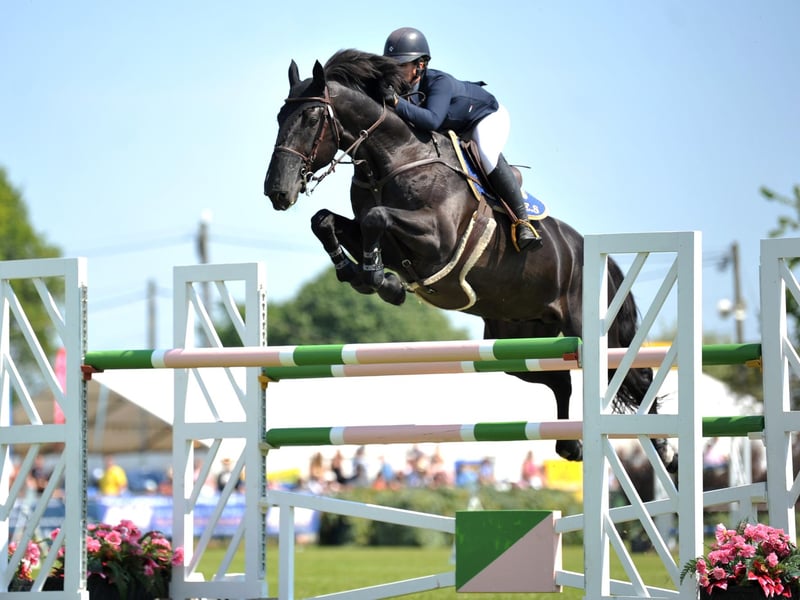 This year's South of England Show takes place from Friday to Sunday, June 7-9