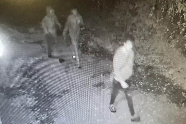 Police are appealing for witnesses following an assault by a group of teenagers Horsham, Sussex Police has reported. Picture courtesy of Sussex Police