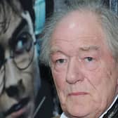 The late Sir Michael Gambon (Photo by Jason Kempin/Getty Images)
