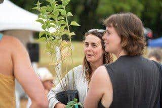 Members of the public enjoy Garden Festival by Hastings Botanic Garden Project
