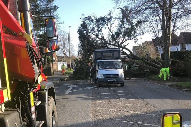West Sussex Fire and Rescue Service took this photo of downed trees in Mid Sussex.