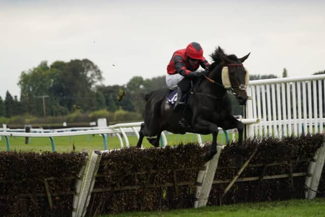 September jump racing at Fontwell Park
