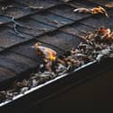 Chichester has been named one of the UK’s areas most at risk of blocked gutters this autumn and winter, according to new research examining tree cover and average winter rainfall across local authorities. Picture: Supplied