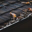 Chichester has been named one of the UK’s areas most at risk of blocked gutters this autumn and winter, according to new research examining tree cover and average winter rainfall across local authorities. Picture: Supplied
