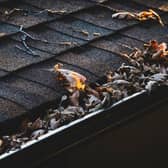 Chichester has been named one of the UK’s areas most at risk of blocked gutters this autumn and winter, according to new research examining tree cover and average winter rainfall across local authorities. Picture: Supplied