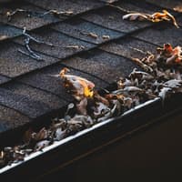 Chichester ranked among UK’s highest-risk areas for blocked gutters this autumn