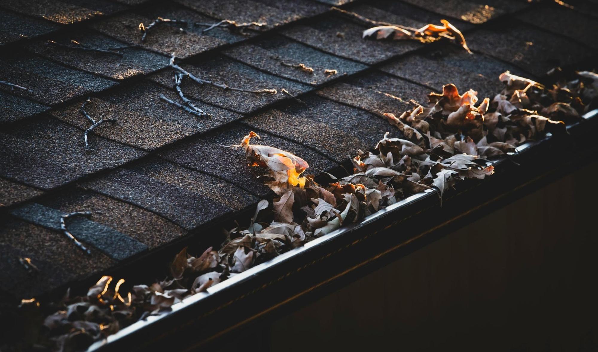 Chichester ranked among UK’s highest-risk areas for blocked gutters ...