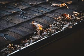 Chichester has been named one of the UK’s areas most at risk of blocked gutters this autumn and winter, according to new research examining tree cover and average winter rainfall across local authorities. Picture: Supplied