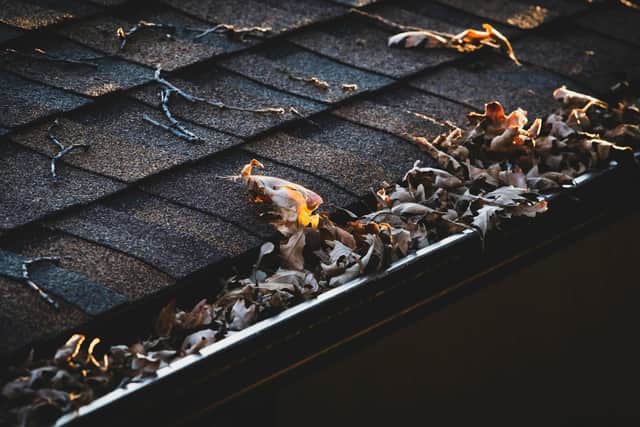 Chichester has been named one of the UK’s areas most at risk of blocked gutters this autumn and winter, according to new research examining tree cover and average winter rainfall across local authorities. Picture: Supplied