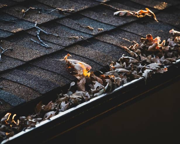 Chichester has been named one of the UK’s areas most at risk of blocked gutters this autumn and winter, according to new research examining tree cover and average winter rainfall across local authorities. Picture: Supplied