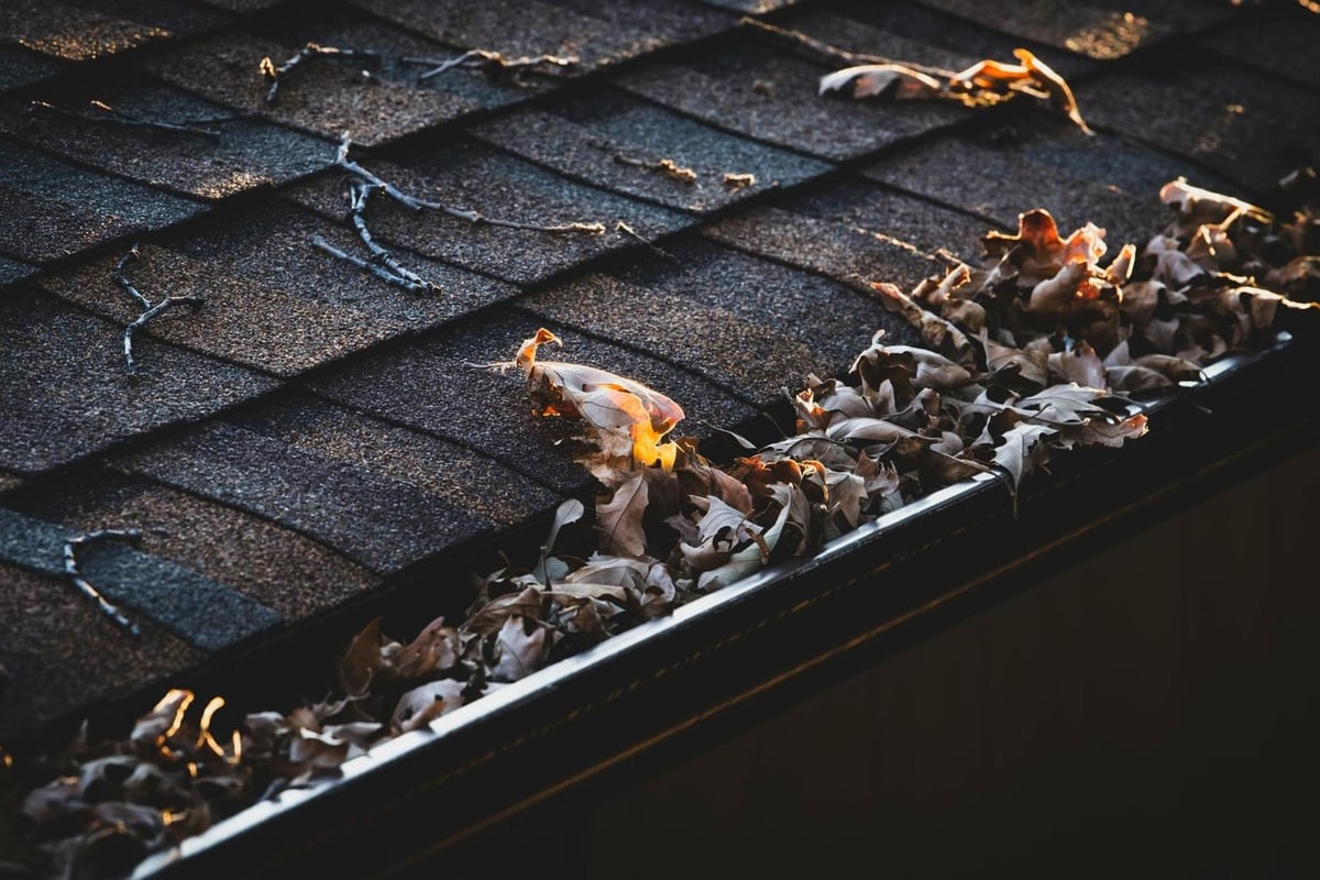 Chichester ranked among UK’s highest-risk areas for blocked gutters this autumn