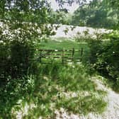 Paw Paddock Ltd submitted a planning application to Mid Sussex District Council to change the of use of agricultural land to the east of Balcombe Road and south of the M23, Haywards Heath. Photo: Google Street View