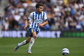 Yasin Ayari of Brighton & Hove Albion has been a key man in the midfield