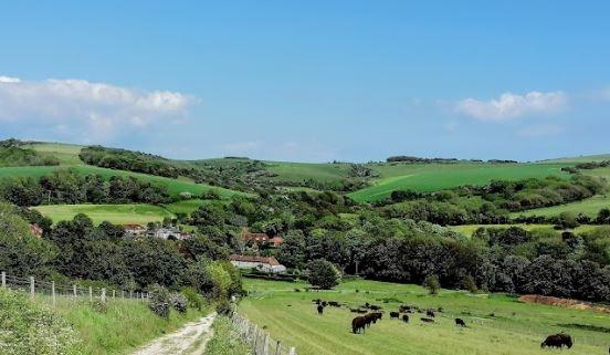 A tranquil village on the edge of the Cuckmere Valley, home to around 100 residents