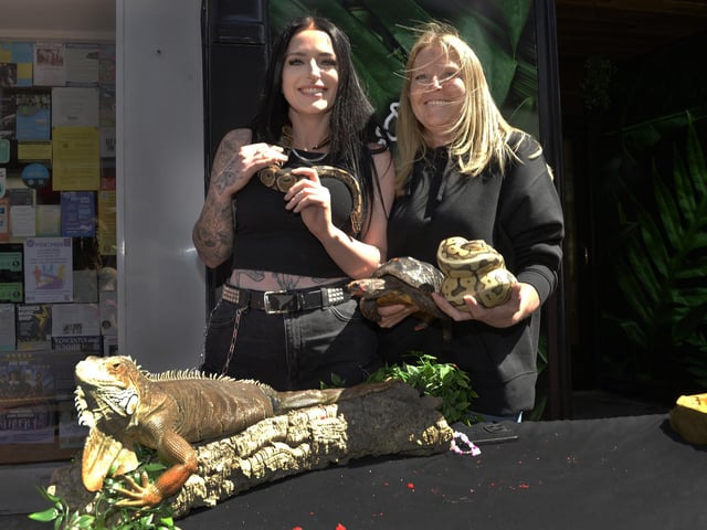 Little Chelsea Summer event 2024 in Eastbourne (Photo by Jon Rigby)