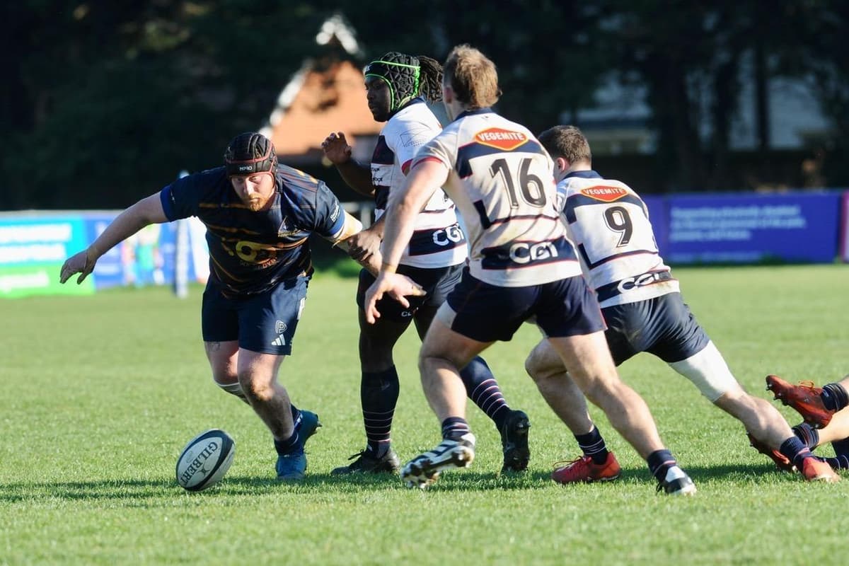 Cs Stags Rugby 27 photos as Worthing Raiders beat CS Stags
