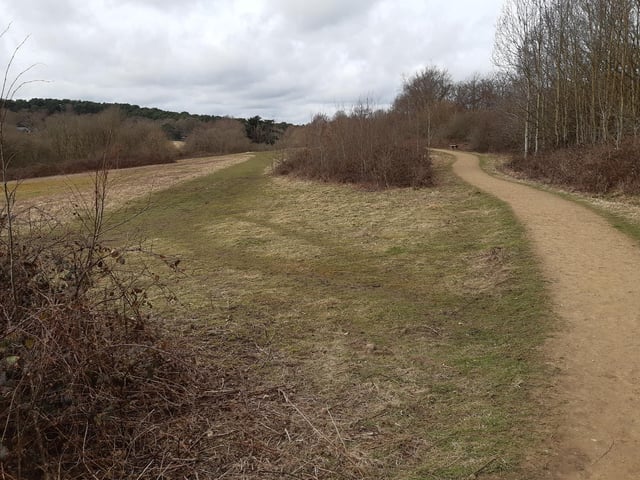 You can follow the path along the top or walk through the grass