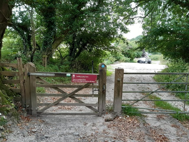This brings you out to Saddlescombe Farm, a hidden gem on the South Downs Way. This hamlet nestled in the downs is run by the National Trust.