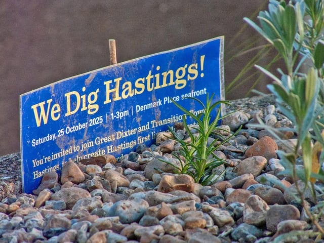 The We Dig Hastings project on the seafront