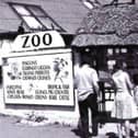 Sussex zoo to celebrate 100 years with special projects throughout the year. Picture: Drusillas