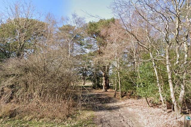 From Monday, November 21, 2022, visitors have had to pay in 45 car parks across Ashdown Forest. Photo: Google Street View