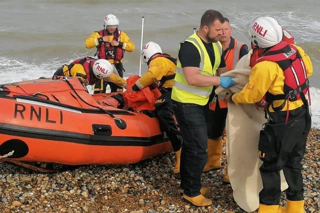 Dog rescued by Eastbourne RNLI (photo from RNLI)