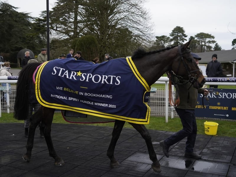 National Spirit Hurdle race day 2025 at Fontwell Park