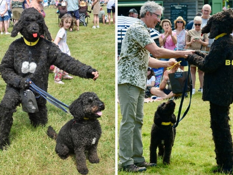 Veronica won dog most like owner, having made a costume from Buddy's fur, which she had been saving since February!