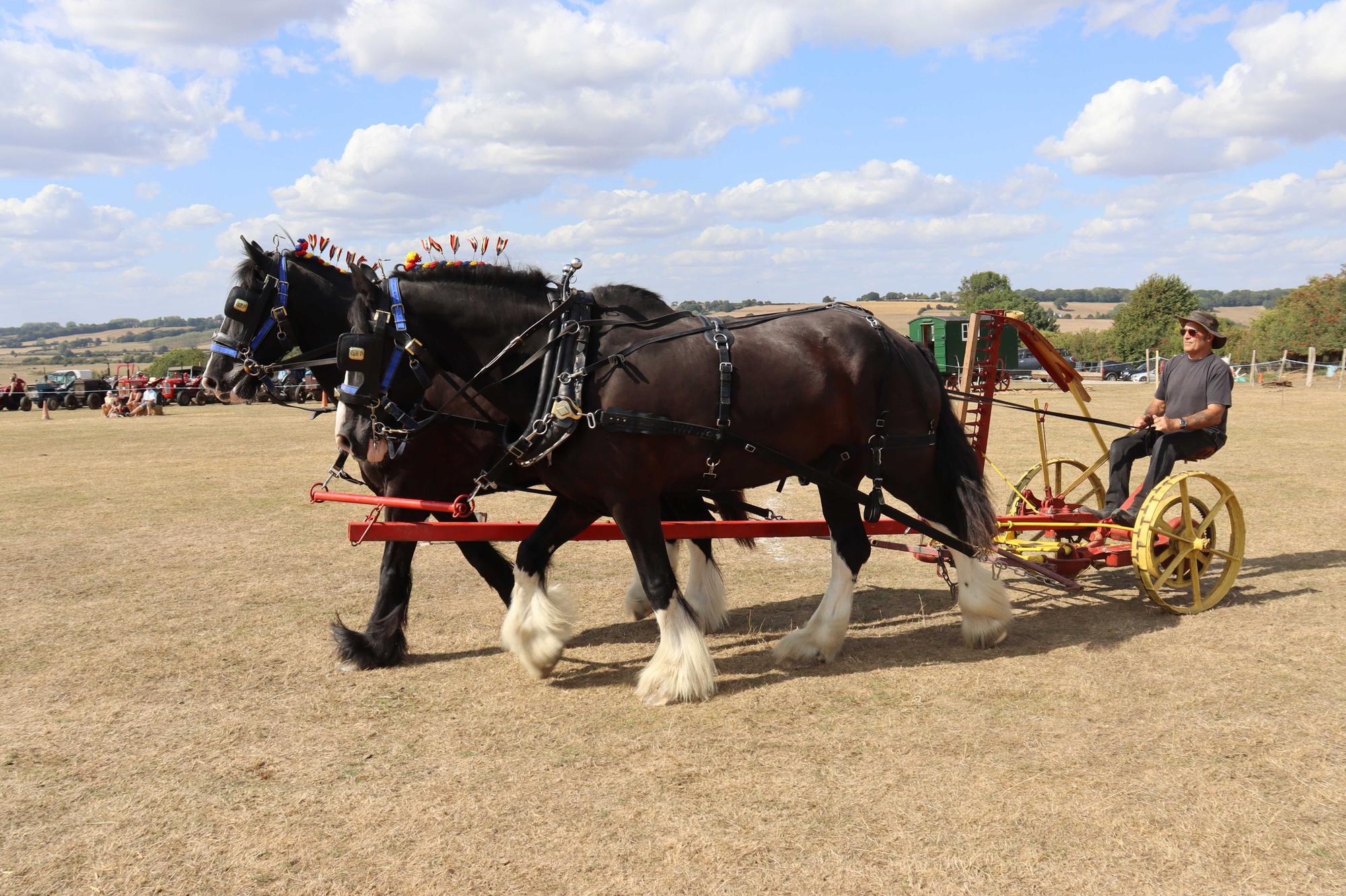 Rye Country Show 2026 in aid of St Michael's Hospice. Photo by Kevin Boorman