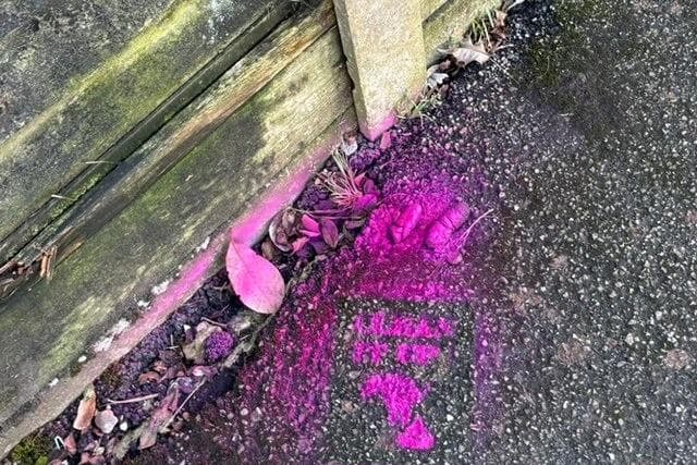 Hastings councillor launches Paint Means Poo campaign to highlight growing ...