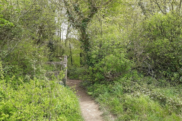 You will then reach another old stile and an opening into the woods. You need to turn left here, and make a note of the spot as you will return this way and it is easy to miss!
