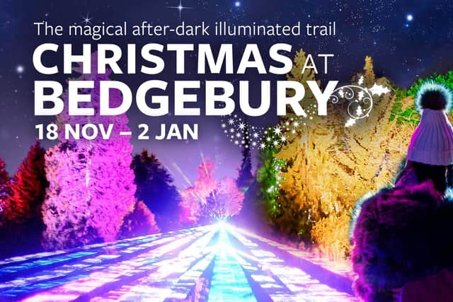 Christmas at Bedgebury magical lights trail returns with new installations November 18, 2022
