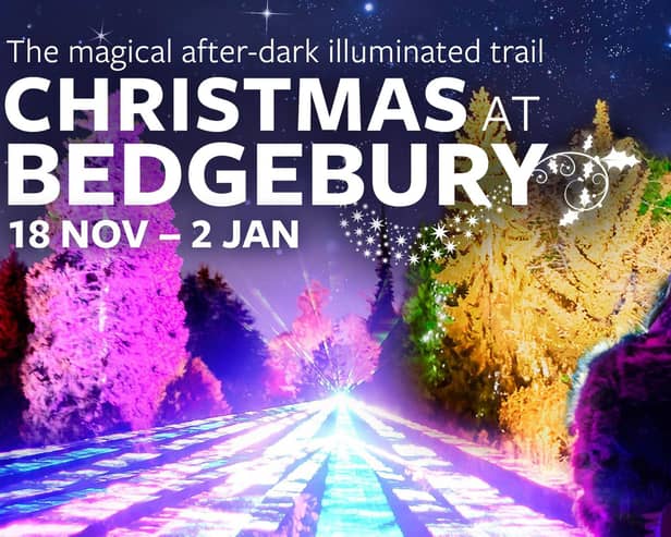 Christmas at Bedgebury magical lights trail returns with new installations November 18, 2022