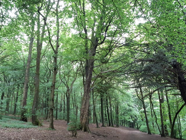Follow this path to the car park, where this section of The Brighton and Hove Way ends.