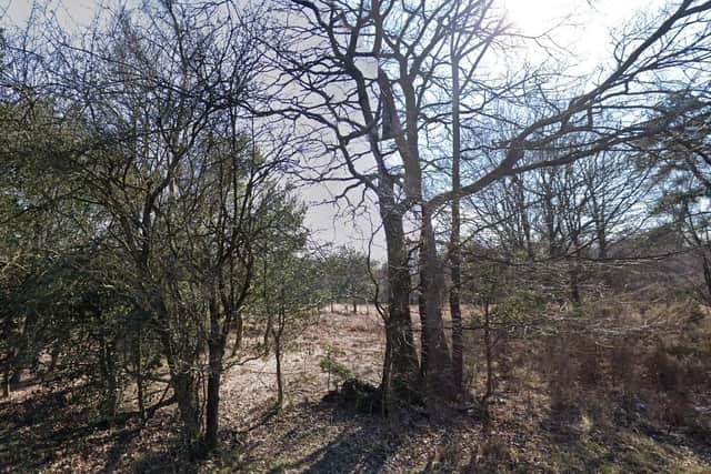 New parking fees are being introduced at 45 forest car parks in Ashdown Forest from Monday, November 21. Picture: Google Street View